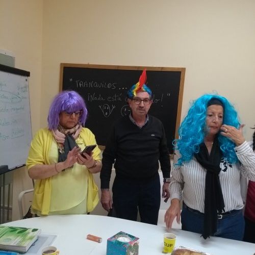 Los Girasoles 2019