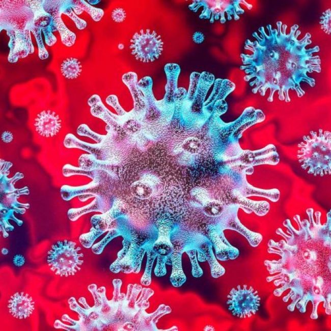 Coronavirus