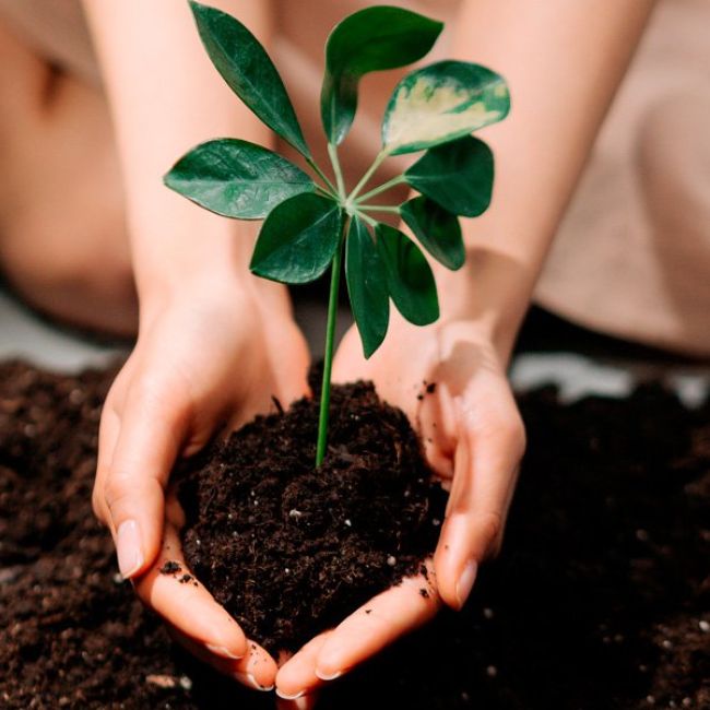 Objetivos Asociación Alzheimer Valladolid