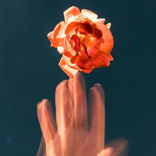 Colabora Asociación Alzheimer Valladolid